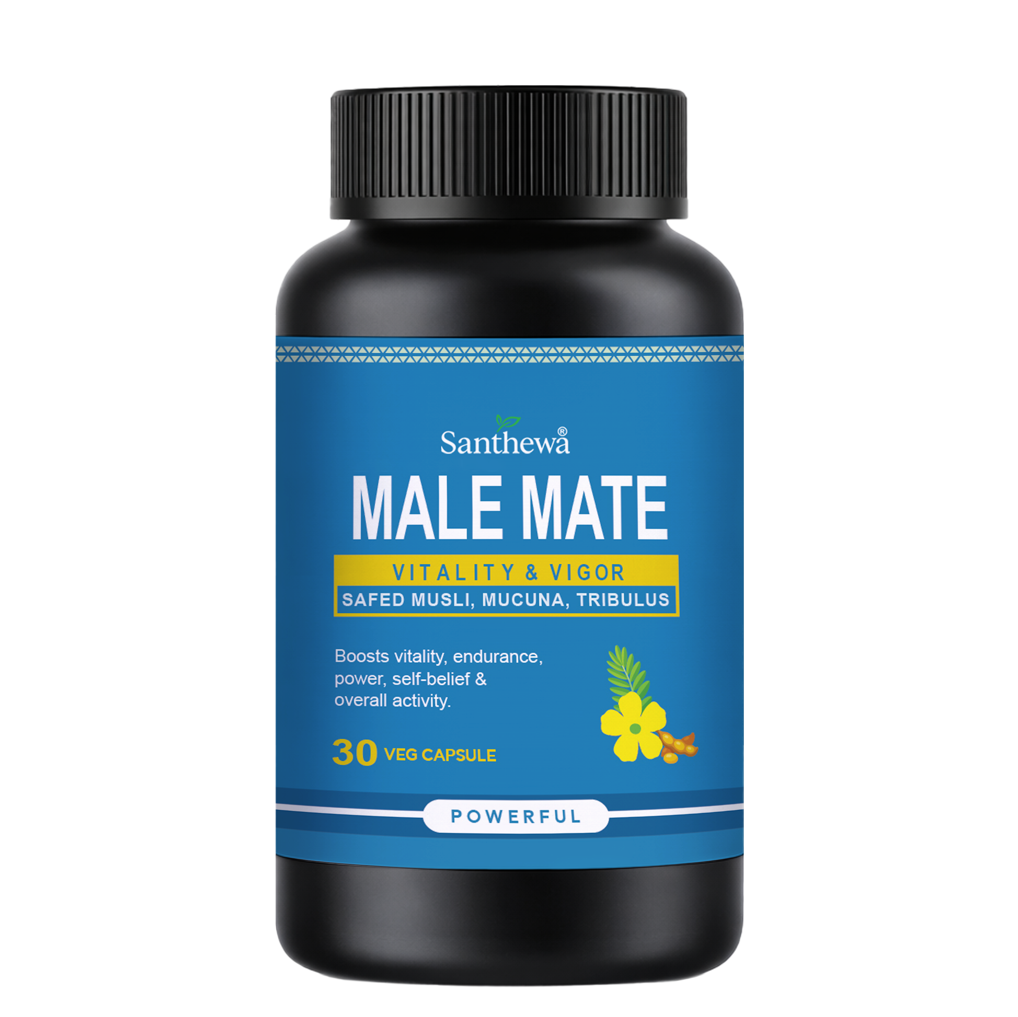 SanThewa Male Mate – Vitality & Vigor